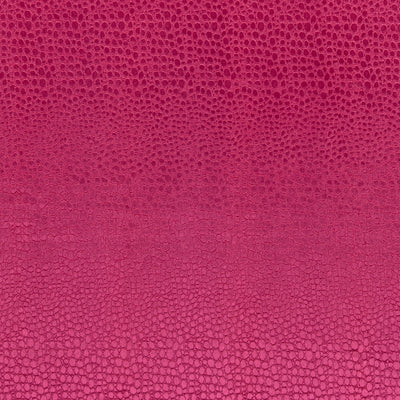 CLARKE & CLARKE - PULSE - SORBET