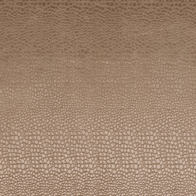 CLARKE & CLARKE - PULSE - TAUPE