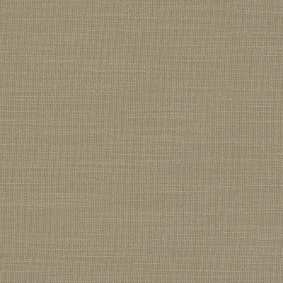 CLARKE & CLARKE - NANTUCKET - EUCALYPTUS
