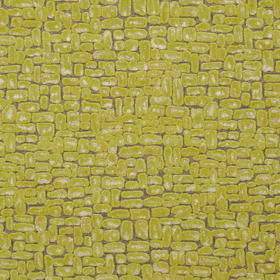 CLARKE & CLARKE - MODA - CITRUS