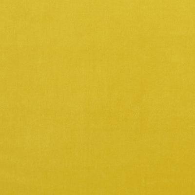 CLARKE & CLARKE - ALVAR - CHARTREUSE