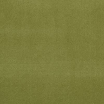 CLARKE & CLARKE - ALVAR - LEAF