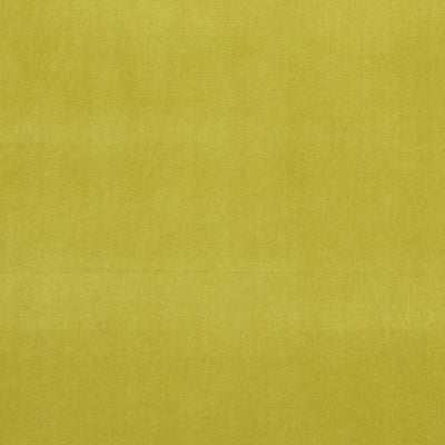 CLARKE & CLARKE - ALVAR - LIME