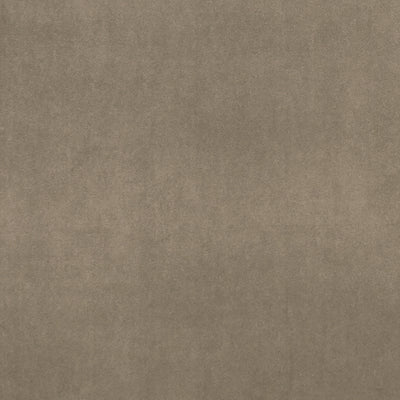 CLARKE & CLARKE - ALVAR - OAK