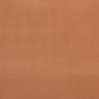 CLARKE & CLARKE - ALVAR - TAMARIND