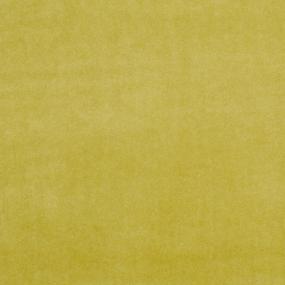 CLARKE & CLARKE - ALVAR - OLIVE