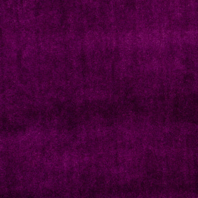CLARKE & CLARKE - ALVAR - PLUM