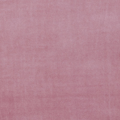 CLARKE & CLARKE - ALVAR - BLUSH