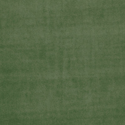 CLARKE & CLARKE - ALVAR - CHIVE