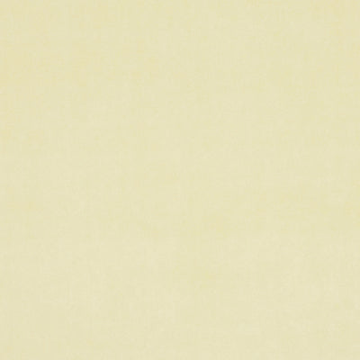 CLARKE & CLARKE - ALVAR - CREAM