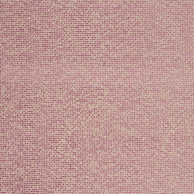 CLARKE & CLARKE - BEAUVOIR - ORCHID