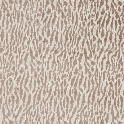 CLARKE & CLARKE - GAUTIER - TAUPE