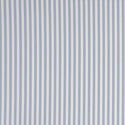 CLARKE & CLARKE - PARTY STRIPE - STRIPE CHAMBRAY