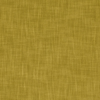 CLARKE & CLARKE - VIENNA - ANTIQUE