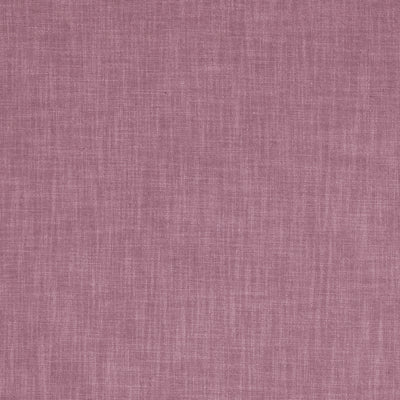 CLARKE & CLARKE - VIENNA - ORCHID