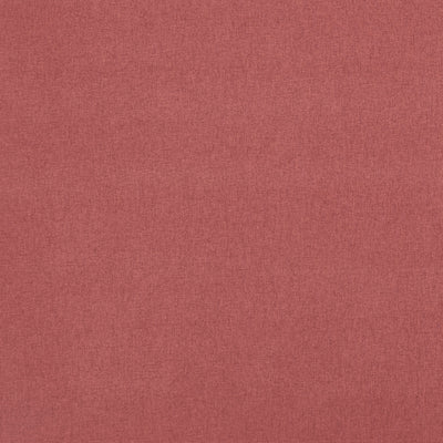CLARKE & CLARKE - HIGHLANDER - GARNET ROSE