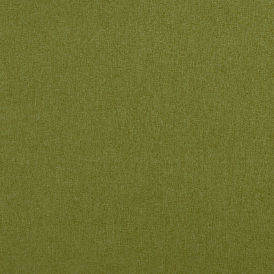CLARKE & CLARKE - HIGHLANDER - OLIVE