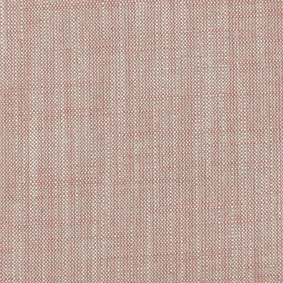 CLARKE & CLARKE - BIARRITZ - BLUSH