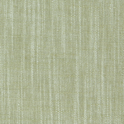 CLARKE & CLARKE - BIARRITZ - EUCALYPTUS
