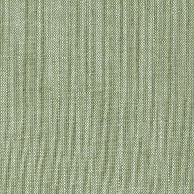 CLARKE & CLARKE - BIARRITZ - PARSLEY