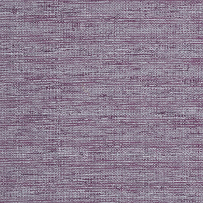 CLARKE & CLARKE - ALDO - VIOLET