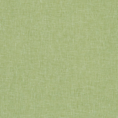 CLARKE & CLARKE - MIDORI - APPLE