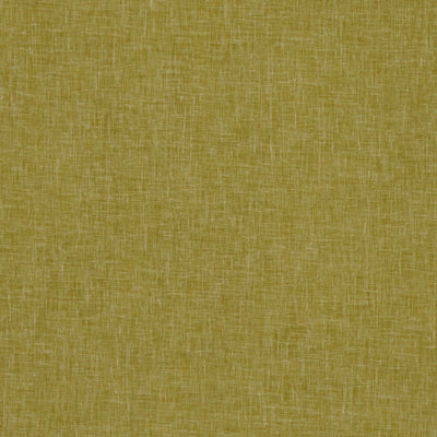 CLARKE & CLARKE - MIDORI - GOLD