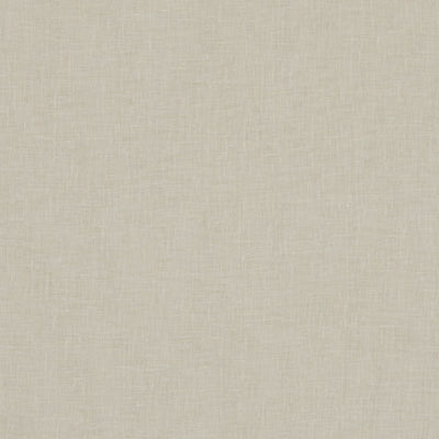 CLARKE & CLARKE - MIDORI - RAFFIA