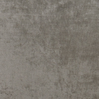 CLARKE & CLARKE - ALLURE - ASH