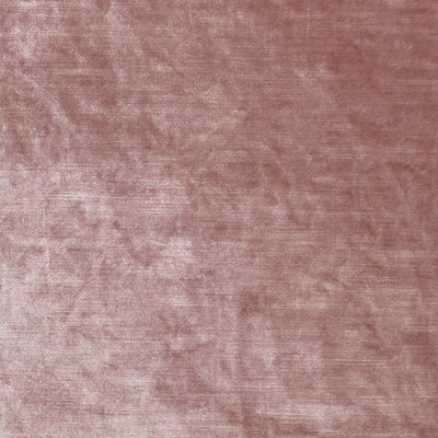 CLARKE & CLARKE - ALLURE - BLUSH