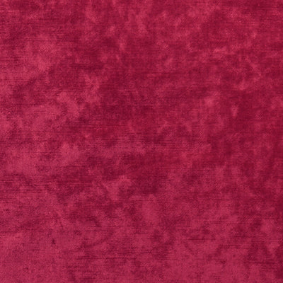 CLARKE & CLARKE - ALLURE - CLARET