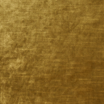 CLARKE & CLARKE - ALLURE - GOLD