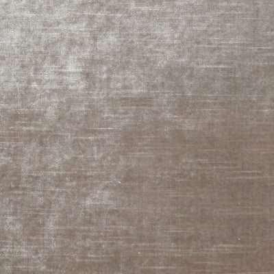 CLARKE & CLARKE - ALLURE - MINK