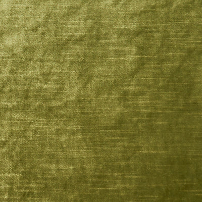 CLARKE & CLARKE - ALLURE - MOSS