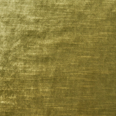 CLARKE & CLARKE - ALLURE - OLIVE