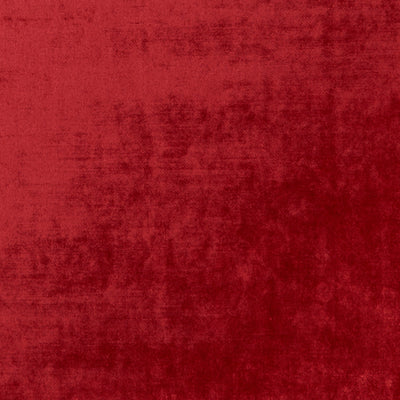 CLARKE & CLARKE - ALLURE - RUBY