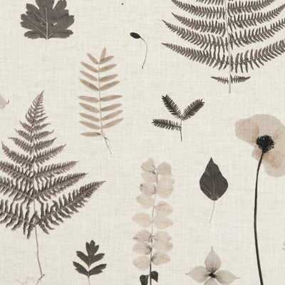 CLARKE & CLARKE - HERBARIUM - CHARCOAL/NATURAL