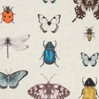 Clarke & Clarke Fabrics, a selection of fabrics such as velvet, damask, cotton, silk, linen and sheers.
