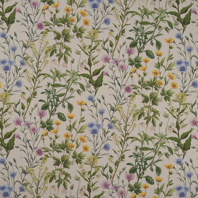 CLARKE & CLARKE - BUTTERCUP - LINEN