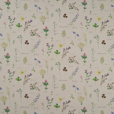 CLARKE & CLARKE - NERIUM - LINEN