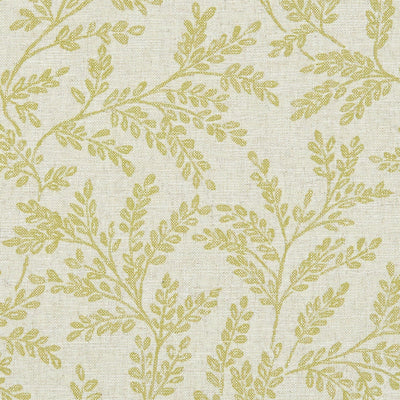 CLARKE & CLARKE - FERNDOWN - CITRON
