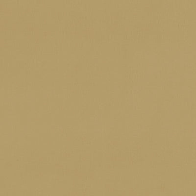 CLARKE & CLARKE - RENZO - OCHRE