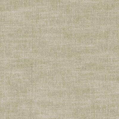 CLARKE & CLARKE - AMALFI - BIRCH