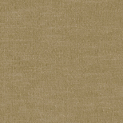 CLARKE & CLARKE - AMALFI - OLIVE