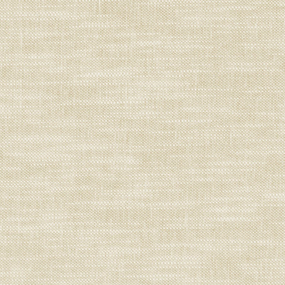 CLARKE & CLARKE - AMALFI - PARCHMENT