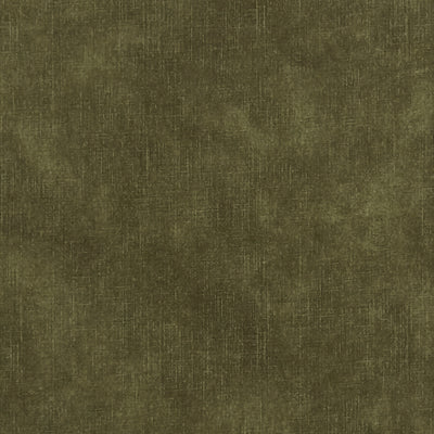 CLARKE & CLARKE - MARTELLO - OLIVE