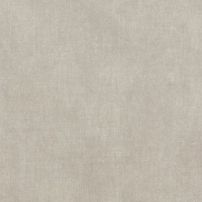 CLARKE & CLARKE - MARTELLO - PARCHMENT