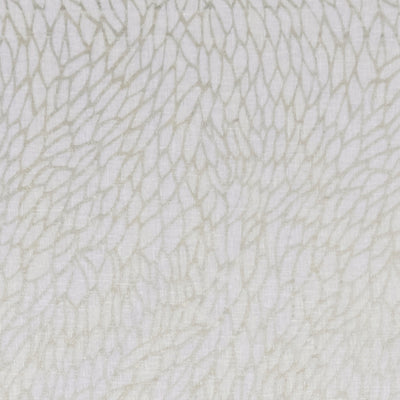 CLARKE & CLARKE - CORALLINO SHEER - CHAMPAGNE/GOLD