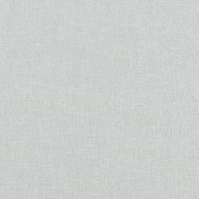 CLARKE & CLARKE - CORALLINO SHEER - SILVER