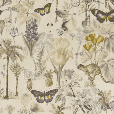 Clarke & Clarke Fabrics, a selection of fabrics such as velvet, damask, cotton, silk, linen and sheers.
